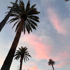 L.A.’s Best Mouth