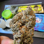 Annix LONGBEACH
