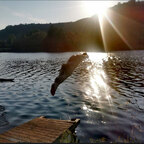 Top OnlyFans creator in Mainz - Nature boy — Mainz profile photo