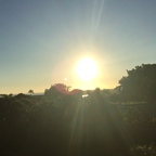 Top OnlyFans creator in Hawaii - AznHayn