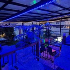 Top OnlyFans creator in New Jersey - keke65