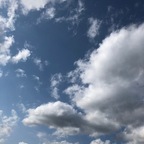 Top OnlyFans creator in San Antonio, Texas - Beef Eater