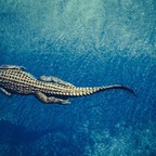 Top OnlyFans creator in Houston - Casablanco