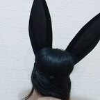 bunnydollyx