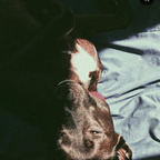 Baby Boy Clover