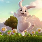 VirginRabbit