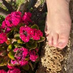 Top OnlyFans creator - Cabrita — Unknown profile photo