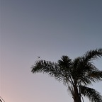 Top OnlyFans creator in Auckland - 3ric