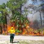 Top OnlyFans creator in Raleigh, NC - capsde58