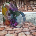 Cchromas