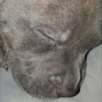 Top OnlyFans creator in ohio - CdMichelleX0