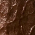 Top OnlyFans creator in Houston - Creoleprince