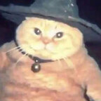 Top OnlyFans creator in Inglewood - Fart on my face — Inglewood profile photo