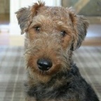 Top OnlyFans creator in please subscribe - DJ Wilbur