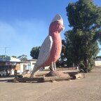 Top OnlyFans creator in Here there and everywhere - Dan