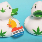 Duckssss