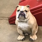 Top OnlyFans creator in In and Out For the Payp - ExtendoLo