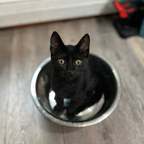 Charlie