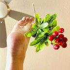 Top OnlyFans creator in Tampa, FL - Tessa Gilroy — Tampa, FL profile photo