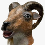 Top OnlyFans creator in Texas - Goat Dick