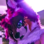 Hazie_Cat