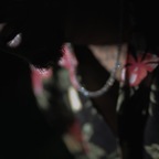 Top OnlyFans creator in The Nasty Kitty - HIM HIGHTOWER — The Nasty Kitty profile photo