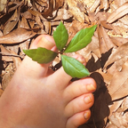 Top OnlyFans creator in Southern United States - Hobbit Mom toez — Southern United States profile photo