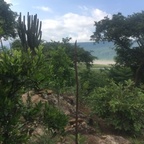 Top OnlyFans creator in United States - Toxicplague