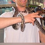 Jake From Snake Farm