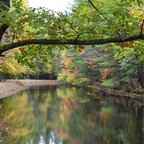 Top OnlyFans creator in Nashua, NH and Mass. - u756091