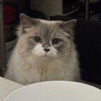 二三