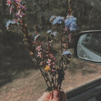 Top OnlyFans creator in Queensland, Australia - LadyEstella