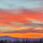 Top OnlyFans creator in Portland - Brandon