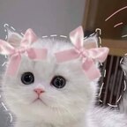 Top OnlyFans creator in probably in bed! - Lucy ✨ — probably in bed! profile photo