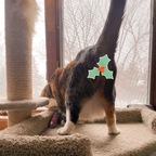 Top OnlyFans creator in Somewhere over the rainbow ? ? - Lynn Hudson