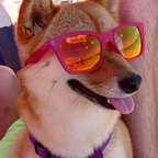 Kuma