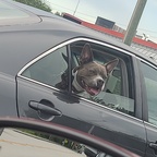 Top OnlyFans creator in Orlando, USA - Jr