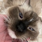 Top OnlyFans creator in In your heart and mind - Momo