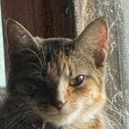 Top OnlyFans creator in Indiana pa - Mike Presgraves