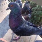 Top OnlyFans creator - Nicanor — Unknown profile photo