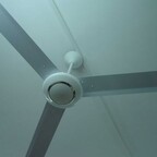 Only Fans