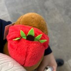 橙橙傻豬b