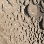 Top OnlyFans creator in Somewhere over the rainbow - Oreo8me