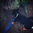 Top OnlyFans creator in Clydebank, Scotland - paul mcdonald