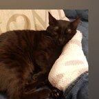 Top OnlyFans creator in Italy ?? - Pennyfetish — Italy ?? profile photo