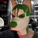 puppyAussiebtm