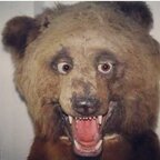 Top OnlyFans creator in Rhode Island - RILakelife88