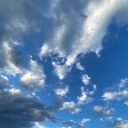 Top OnlyFans creator in United States - Sunnie