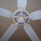 Top OnlyFans creator in Killeen, TX - SkittleMcDaddy — Killeen, TX profile photo