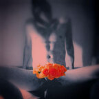 Your Gentle Muse
